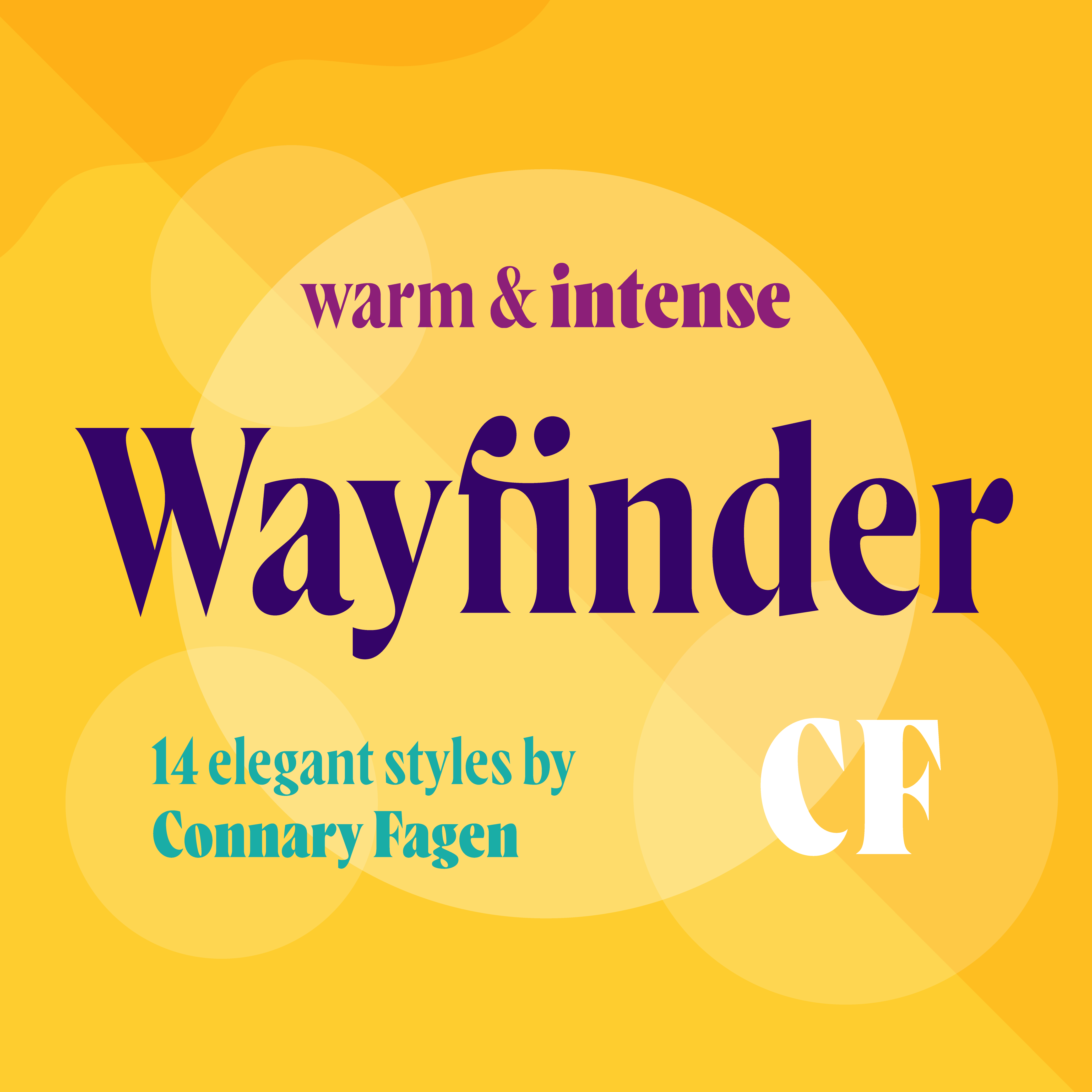 Wayfinder CF Poster