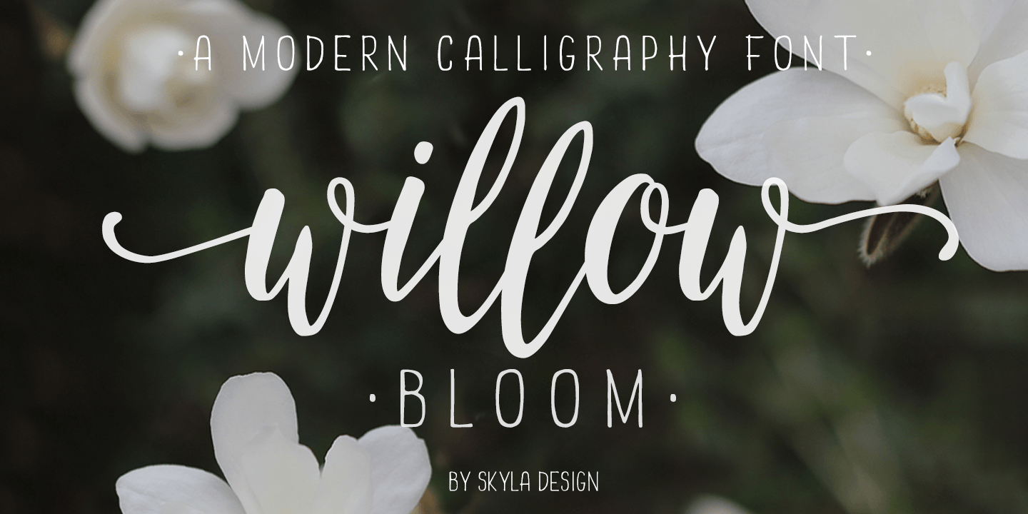 Willow Bloom font family
