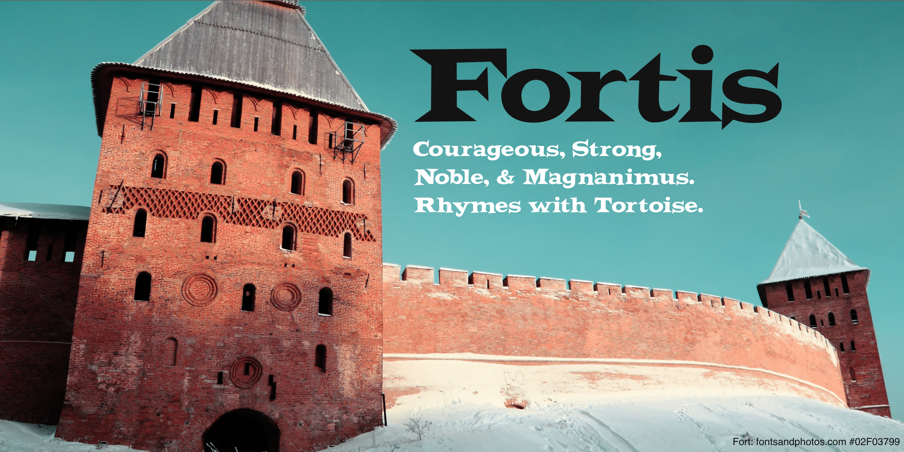 fortis-font-fontspring