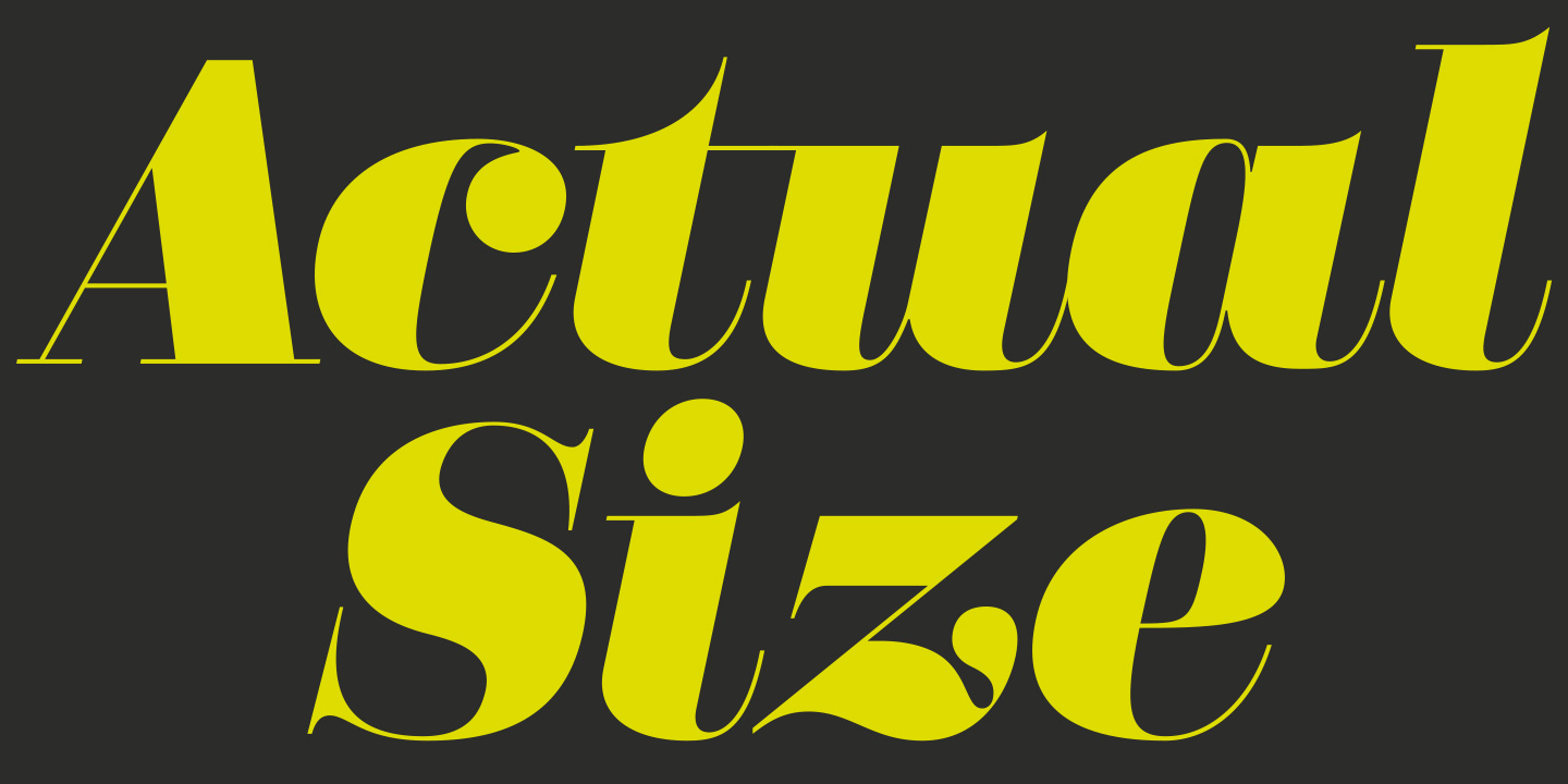 Didonesque font family - 14