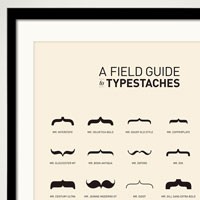 Typestaches