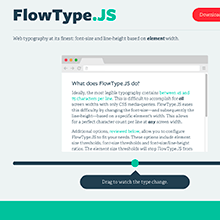 Flowtype