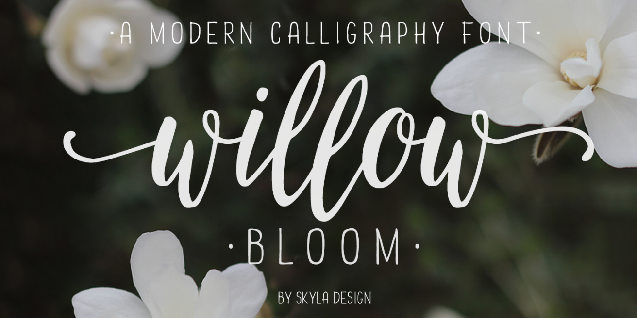 Willow Bloom Poster