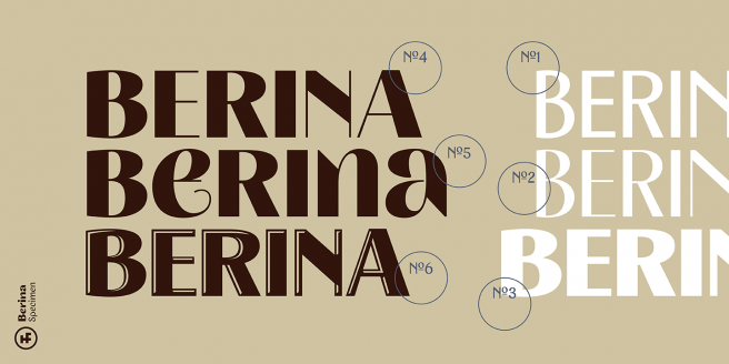 Berina Poster 2