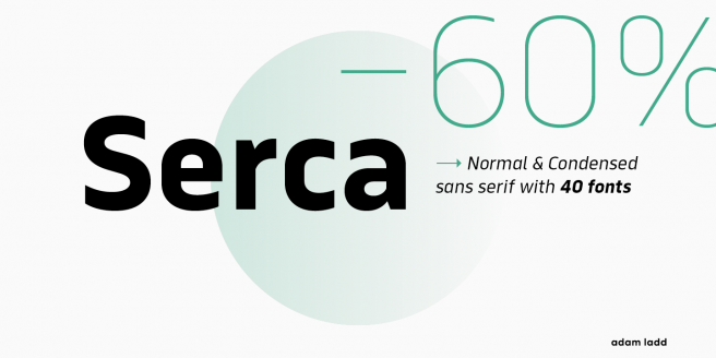 Serca Poster