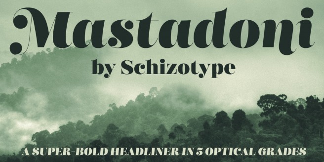 Schizotype Fonts Flash Sale - 57% off for only one more day! Poster2