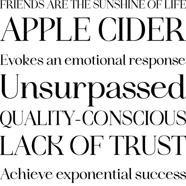 Idealist Serif Poster